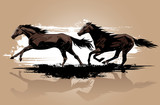 Fototapeta Konie - Vector illustration of wild horses running