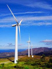 wind turbines on the sea coast.