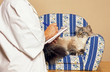 chat sacré de birmanie sur le divan du psy pour chats