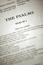 Psalms Bible Verses From Chapter 1
