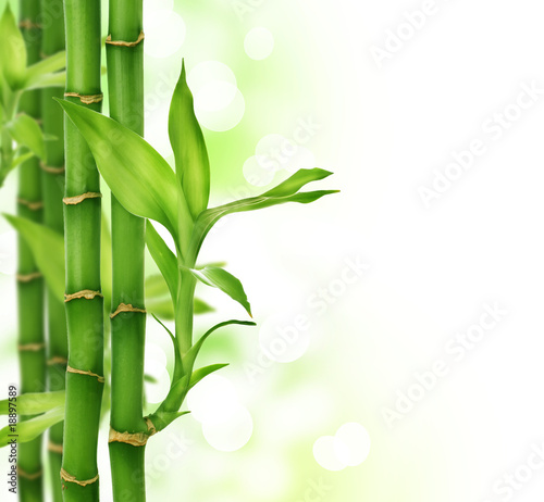 Naklejka na meble Bamboo border