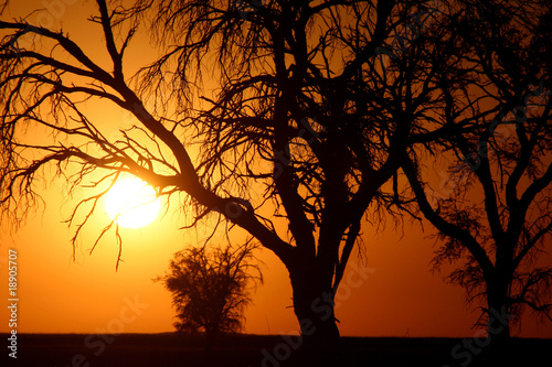 Coucher De Soleil Africain Buy This Stock Photo And