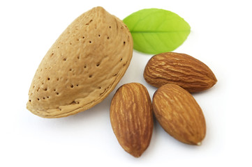 Wall Mural - Almond with kernel