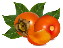 Photorealistic Vector Illustration. Persimmon With Leaves.