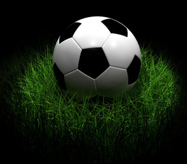 Soccer Ball on Grass