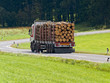 Transport von Holzstämmen auf einem Lastwagen