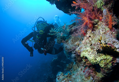 Fotomural Woman Scuba Diver and Lionfish