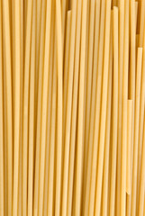 Canvas Print - Spaghetti Closeup