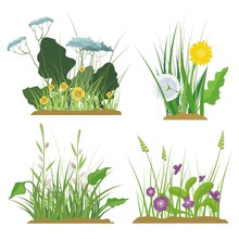 Floral And Grass Design Elements