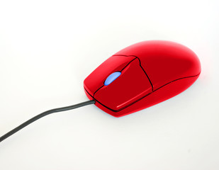 computer mouse