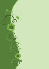 Wall Mural - Green floral border design