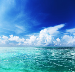 Wall Mural - ocean and perfect sky