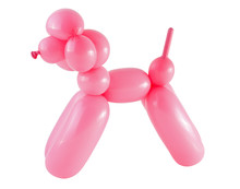 Pink Dog Made With A Balloon Isolated On White