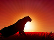 © iconspro - Lion on Sunset Background