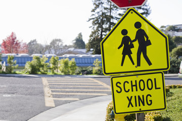 School Crosswalk