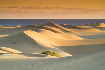 Wall Mural - Dunes at sunset