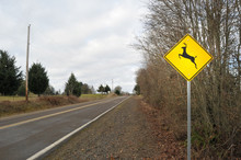 Deer Elk Crossing Road Sign