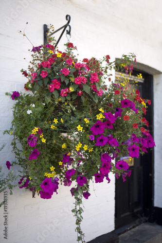 Plant Pots With Petunia On The Wall Of The English Home Buy This