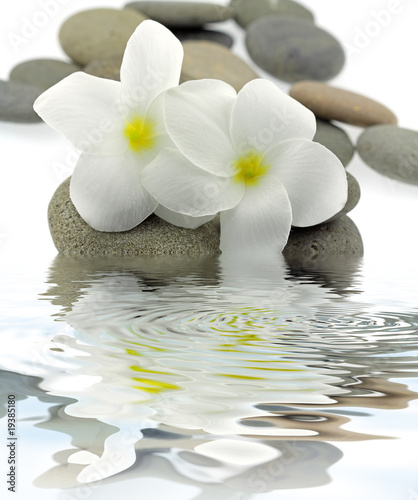 décor zen frangipanier galets reflets © Unclesam