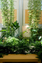 A Green Atrium
