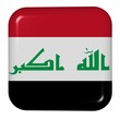 button in colors of Iraq