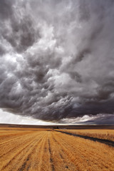 Canvas Print - The thunder-storm