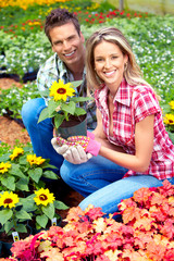 Poster - Florists