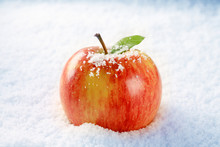 Apple In Snow
