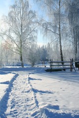 Poster - Winter nature