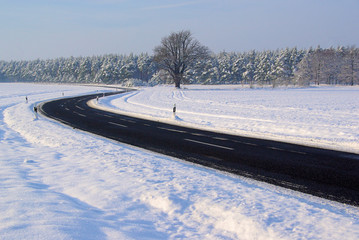 Wall Mural - Straße im Winter - road in winter 06