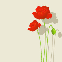 Wall Mural - Background with red Poppies