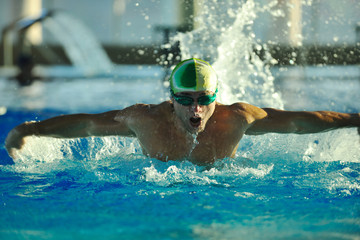 Wall Mural - swimmer