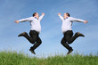 jumping fat twins on grass collage