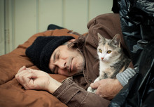 Homeless Man And Friendly Stray Kitten