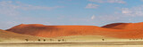 Fototapeta Na sufit - Red dune panorama landscape, Sossusvlei, Namibia