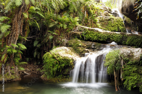 Obraz w ramie Rainforest waterfall