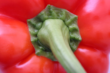 Red pepper closeup