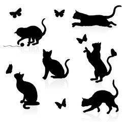  Cats and butterflies.