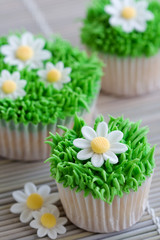 Canvas Print - Daisy cupcakes