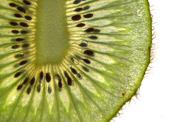 Sticker - kiwi background