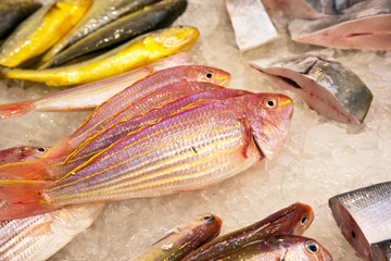 whole fresh fishes are offered in the fish market in asia