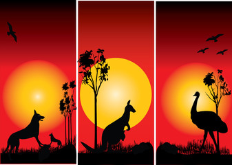 Poster - australian wildlife in the sunset