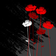 floral background, poppy with a space for your text