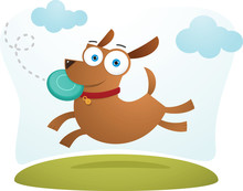 Brown Dog Catch Frisbee