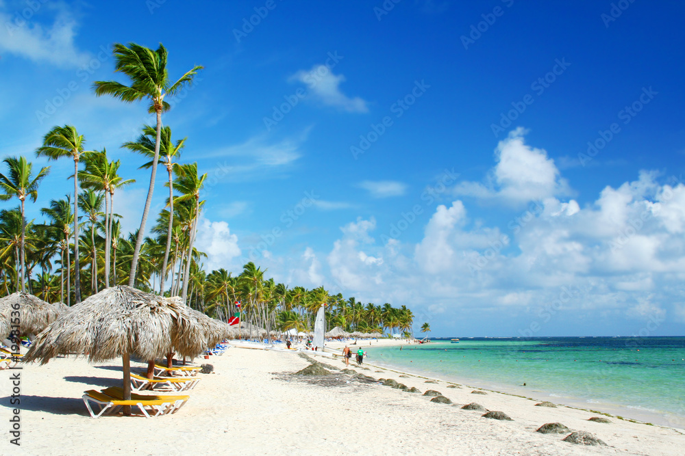 Caribbean resort beach with palm trees and sunshades - obrazy, fototapety, plakaty 
