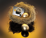 Fototapeta  - gold nest