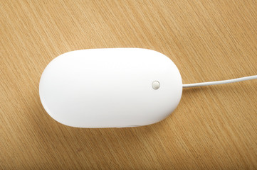 The white mouse for the computer. Usb connect.