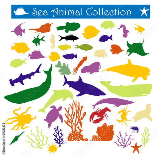 Download Sea Animals Svg Stock Vector Adobe Stock