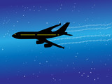 Fototapeta Sport - airplane silhouette