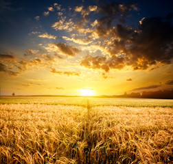 Farmland and beautiful sunset